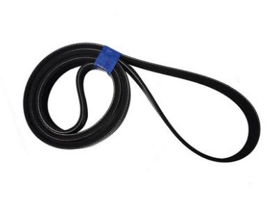 V-ribbed belt 3974030