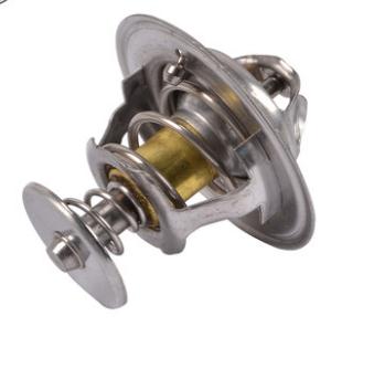 Thermostat T74405004